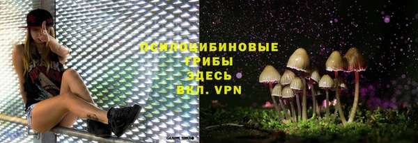 ПСИЛОЦИБИНОВЫЕ ГРИБЫ Балабаново